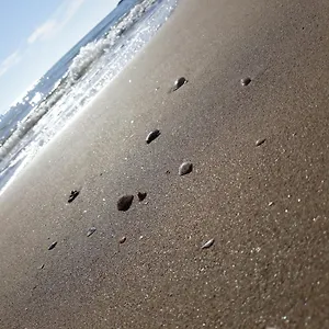 https://la-barchetta.sicilyhotelsitaly.net